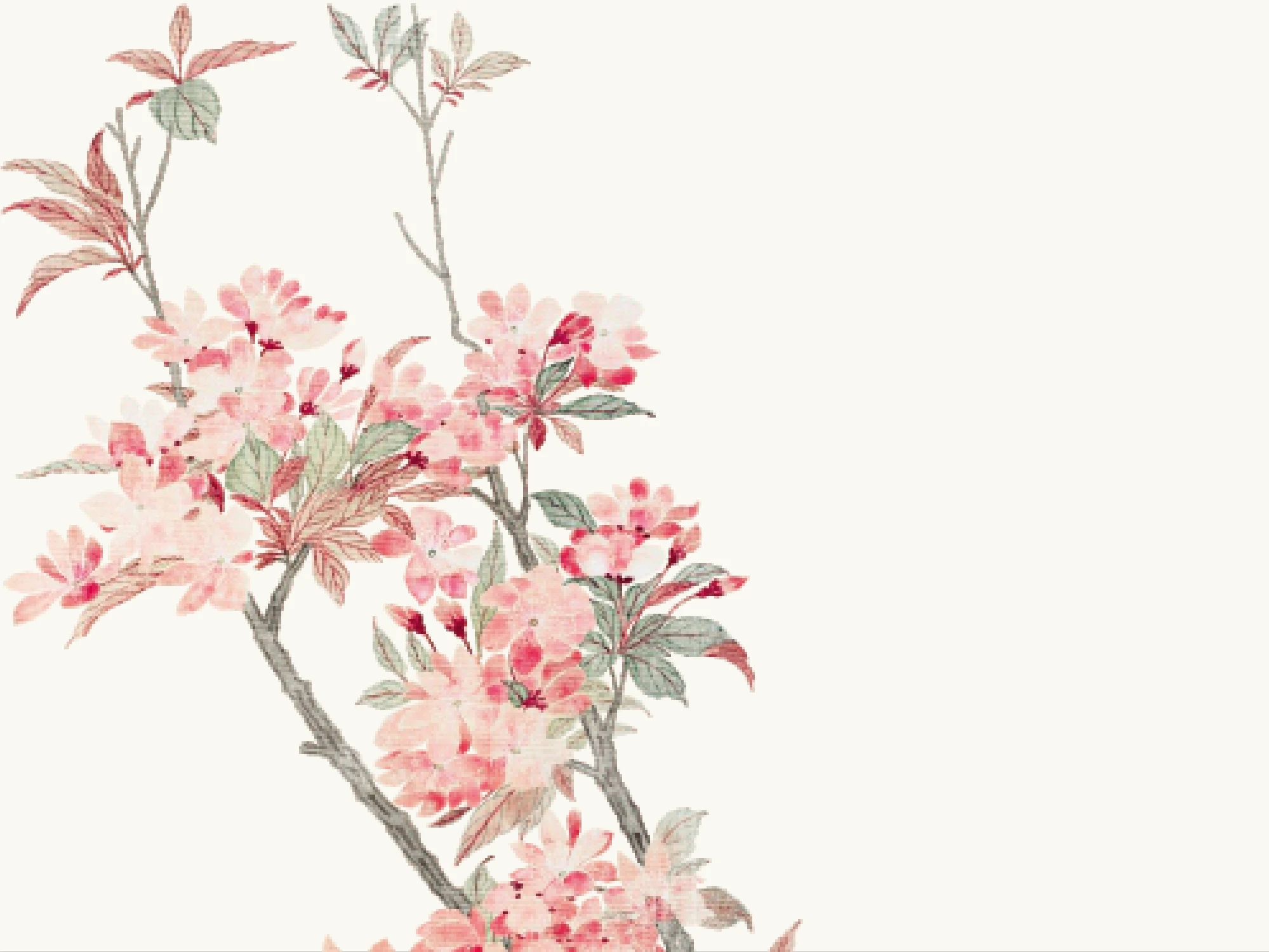 Blush
