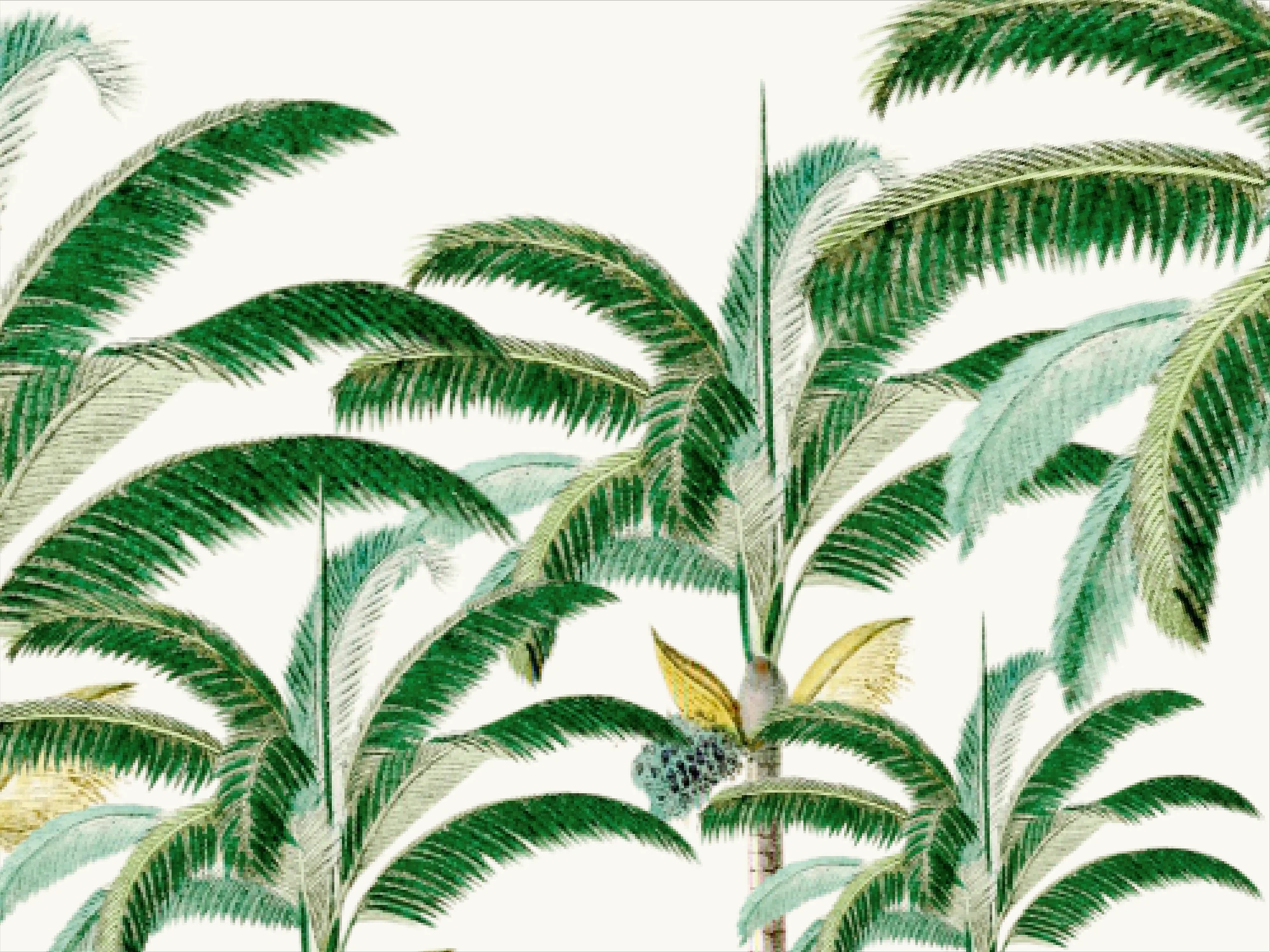 Palm Kissed