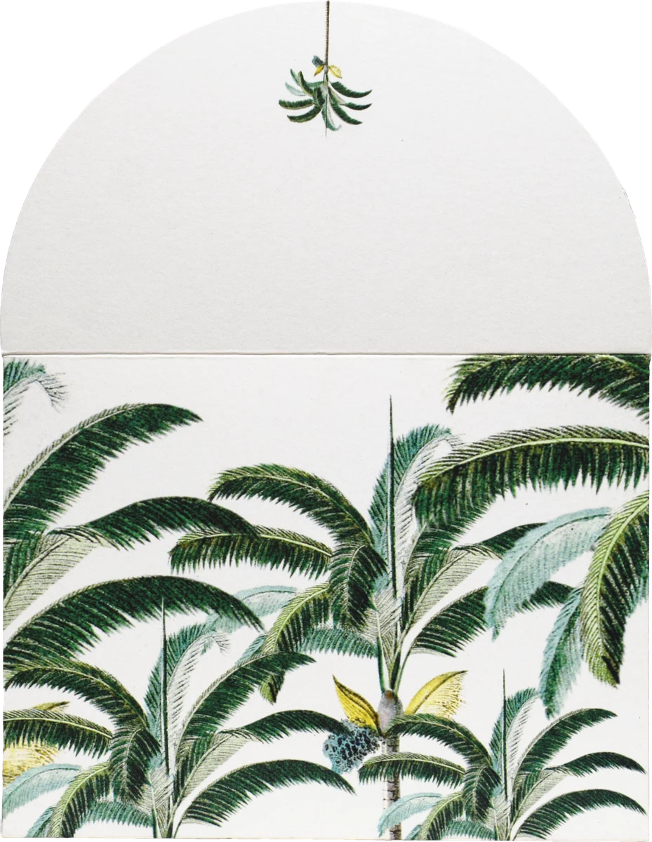 Palm Kissed, photographed