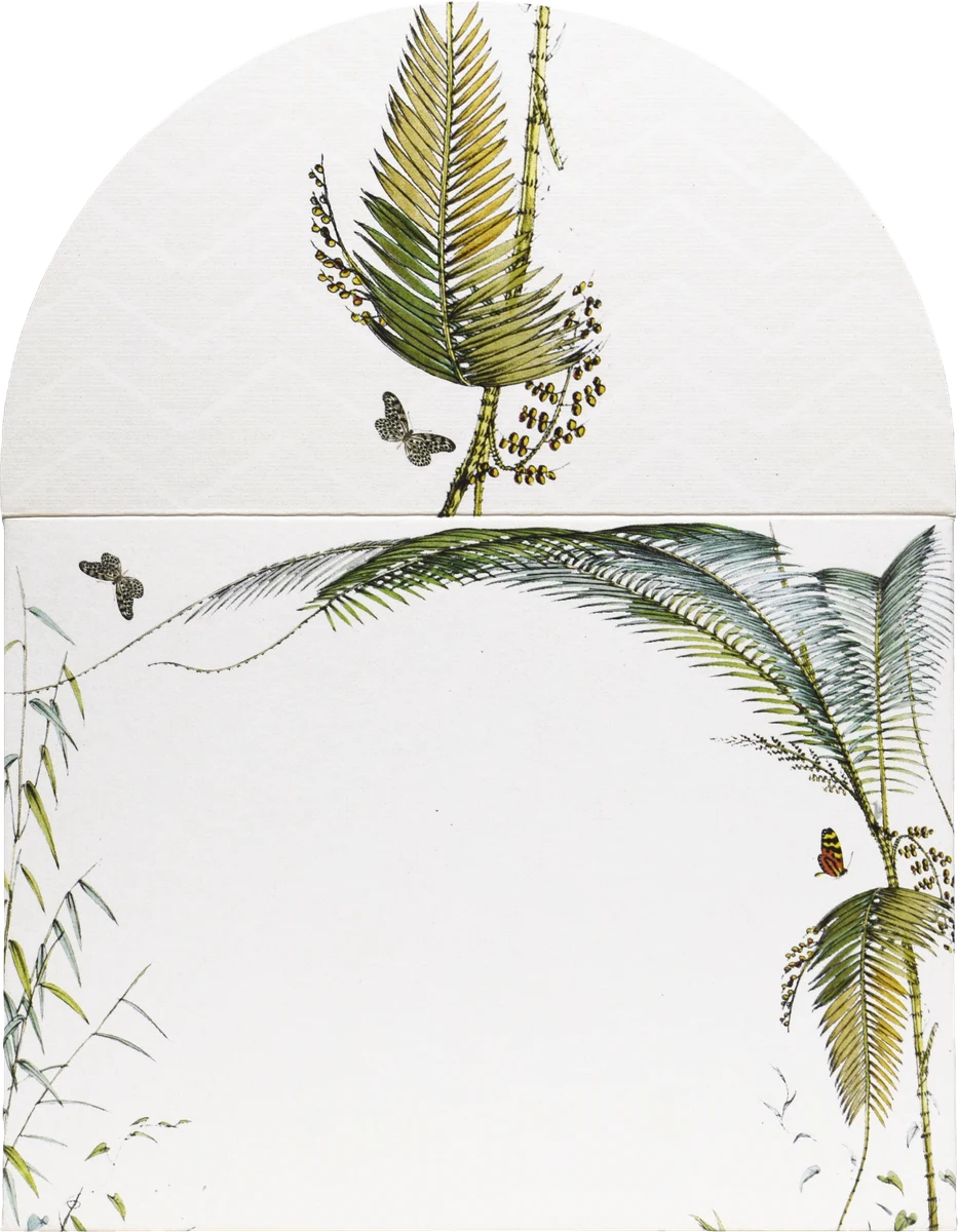 Silken Palms, photographed