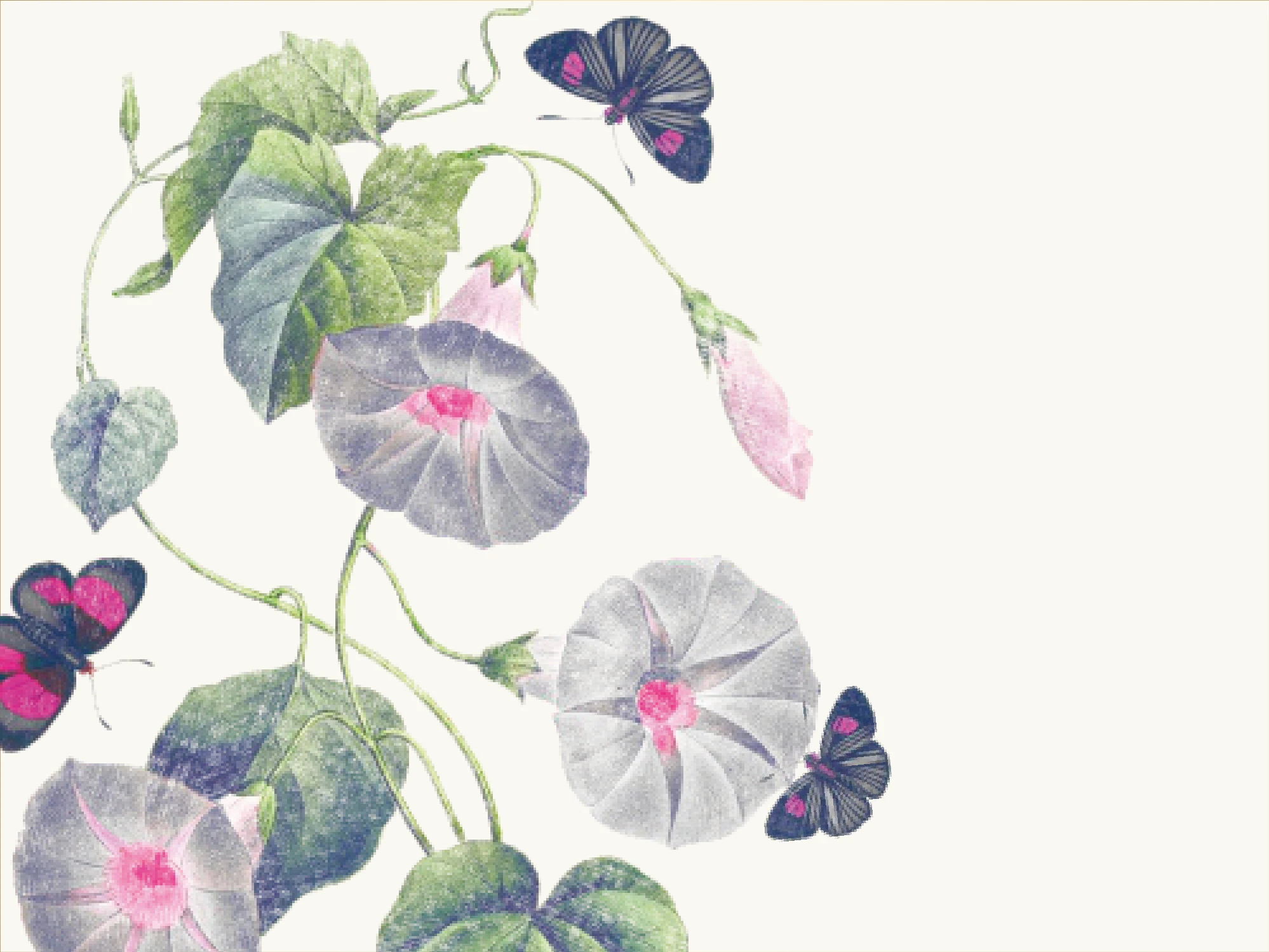 The Vintage Vine